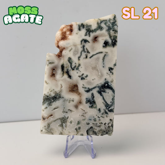 Moss Agate Slab | SL 21