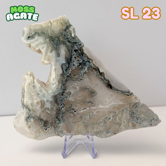 Moss Agate Slab | SL 23