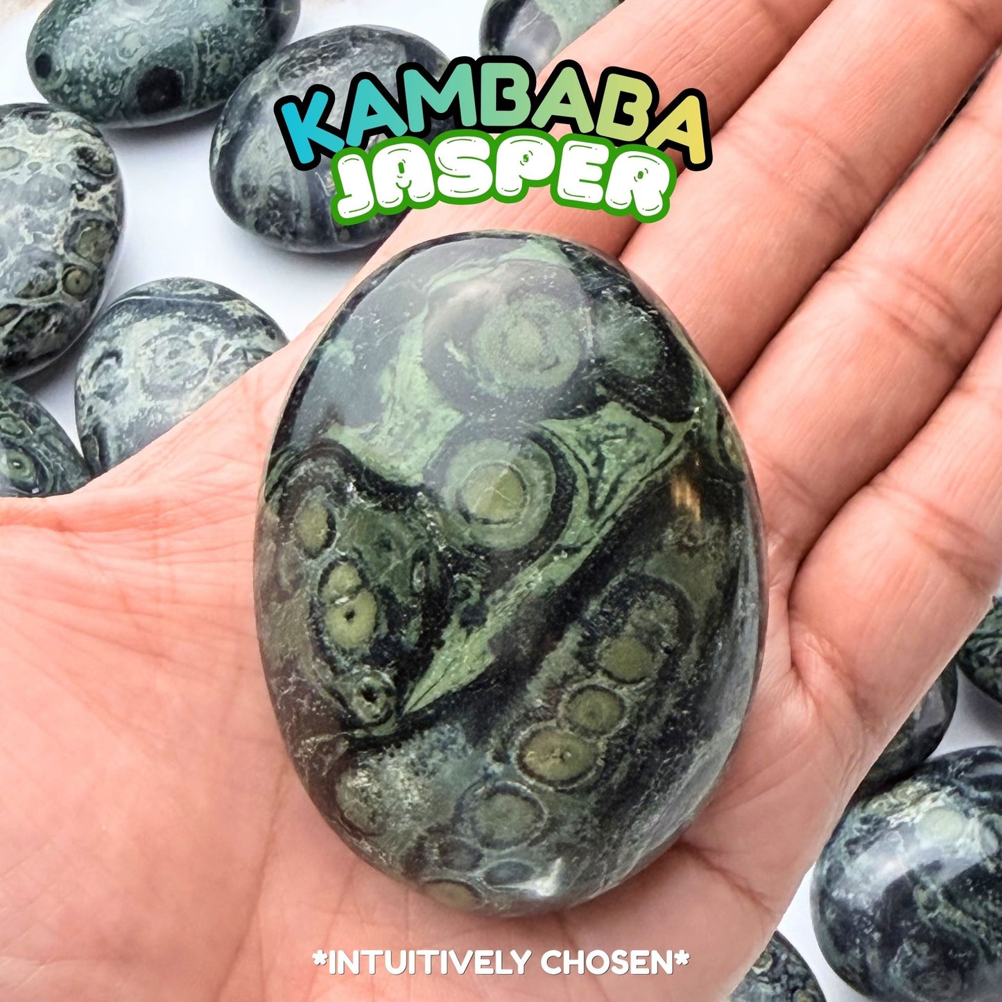 Kambaba Jasper Palm Stone | Intuitively Chosen