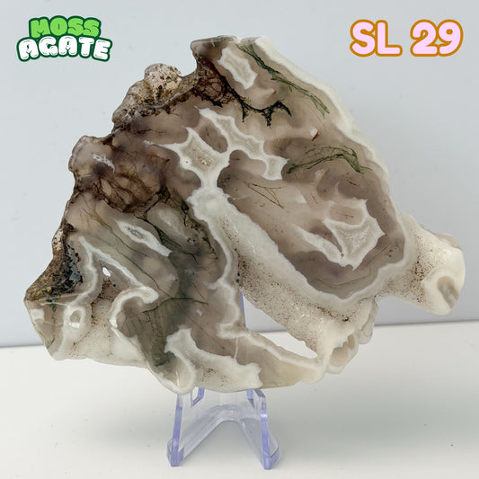 Moss Agate Slab | SL 29