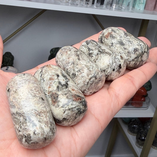 Zebra Calcite Capsule | XL Tumbles | Intuitively Chosen