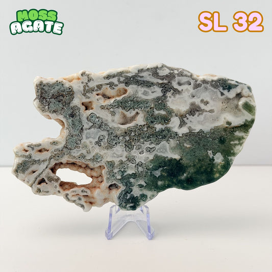 Moss Agate Slab | SL 32
