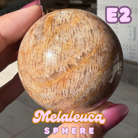 Melaleuca Sphere | E2