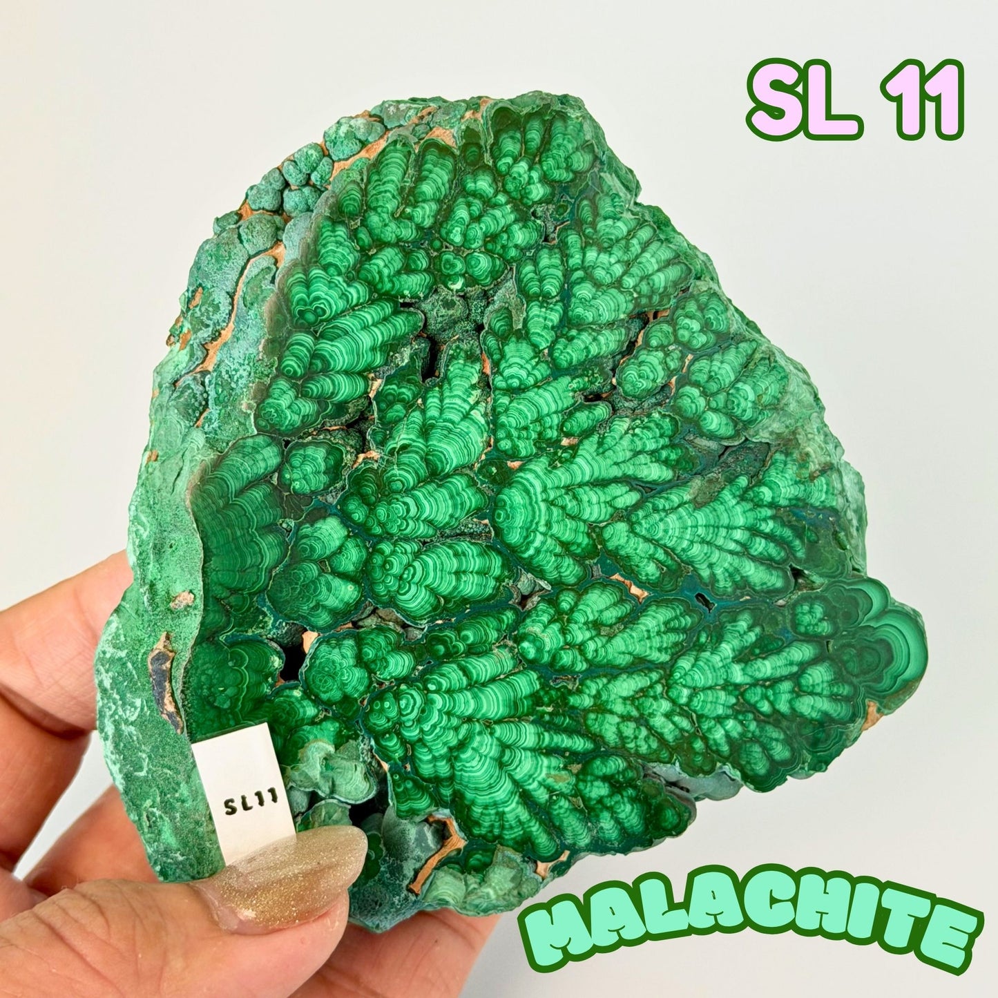 Natural Congo Malachite Slab | SL 11