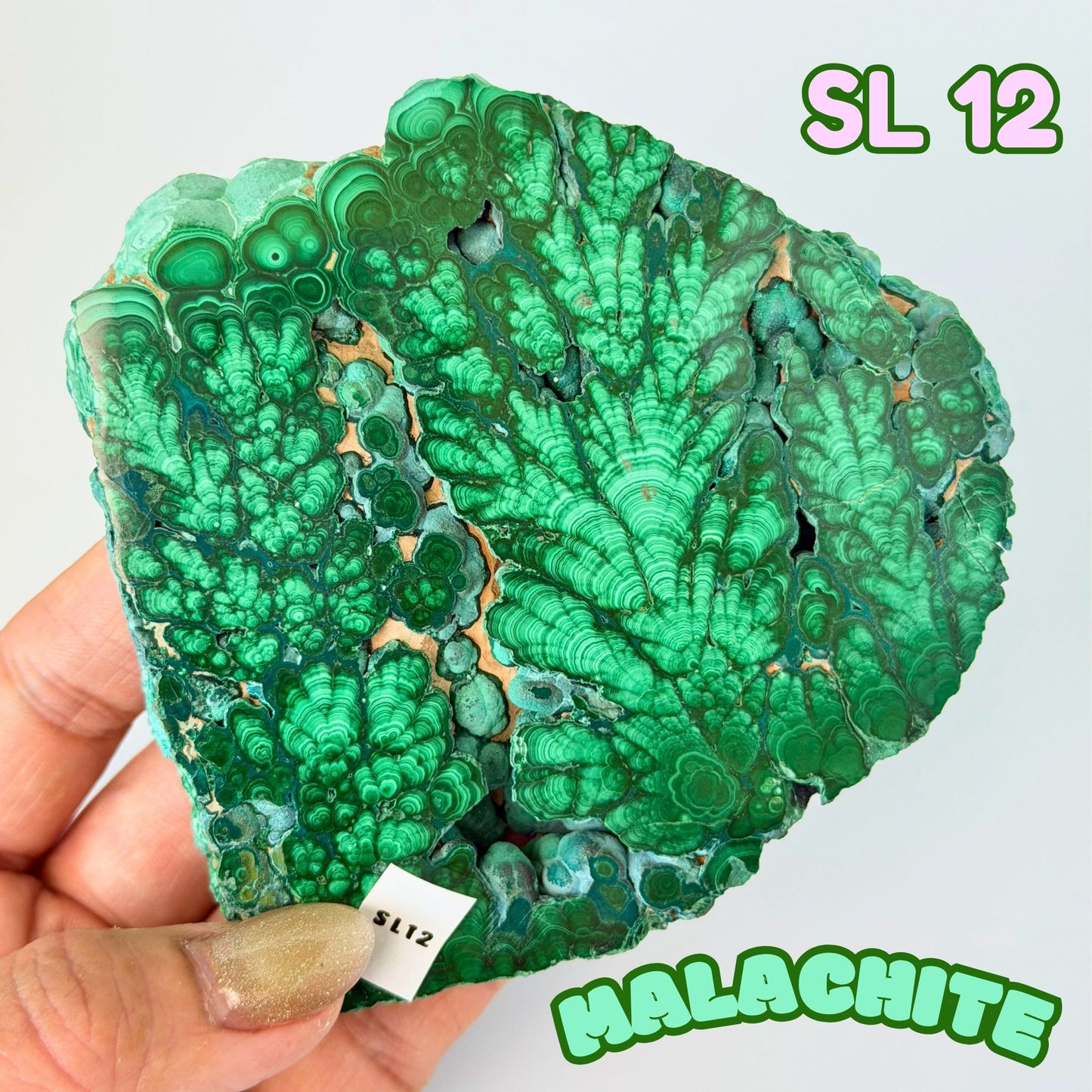 Natural Congo Malachite Slab | SL 12