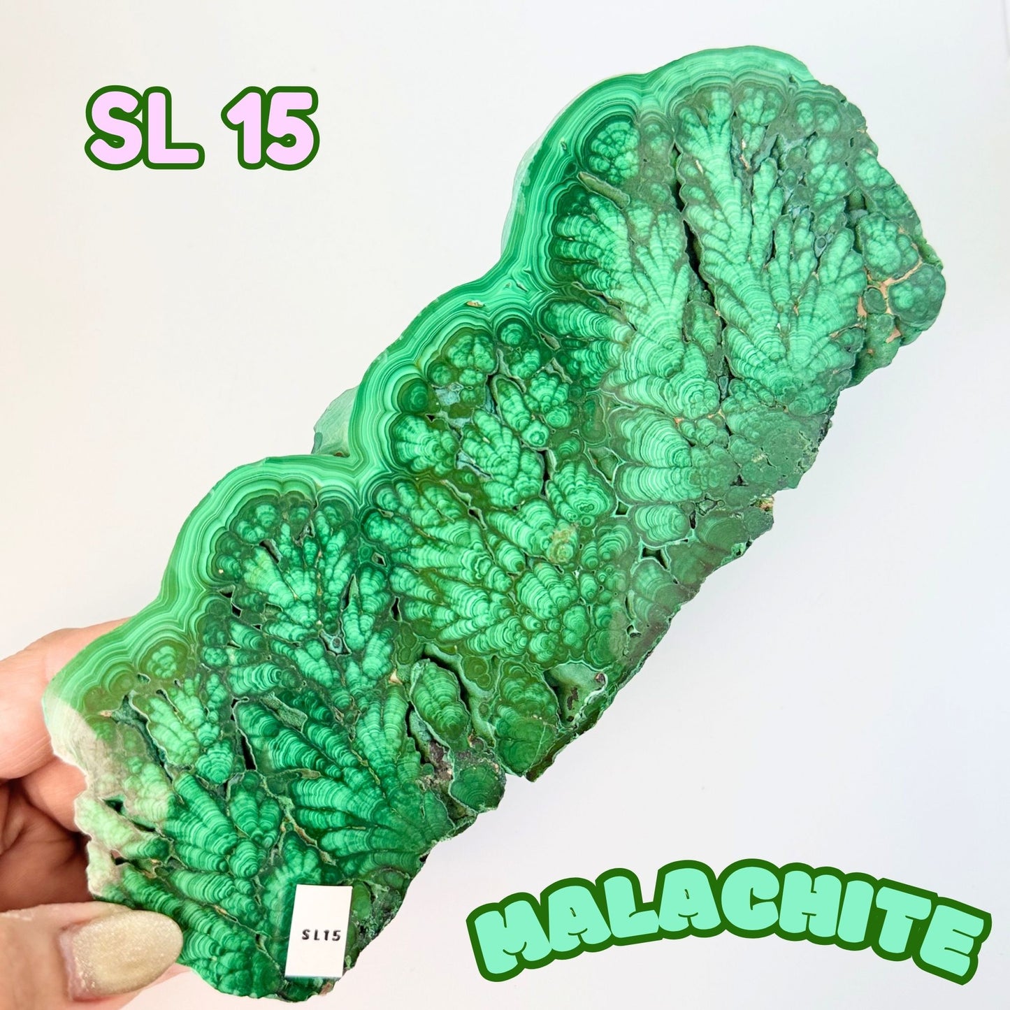 Natural Congo Malachite Slab | SL 15