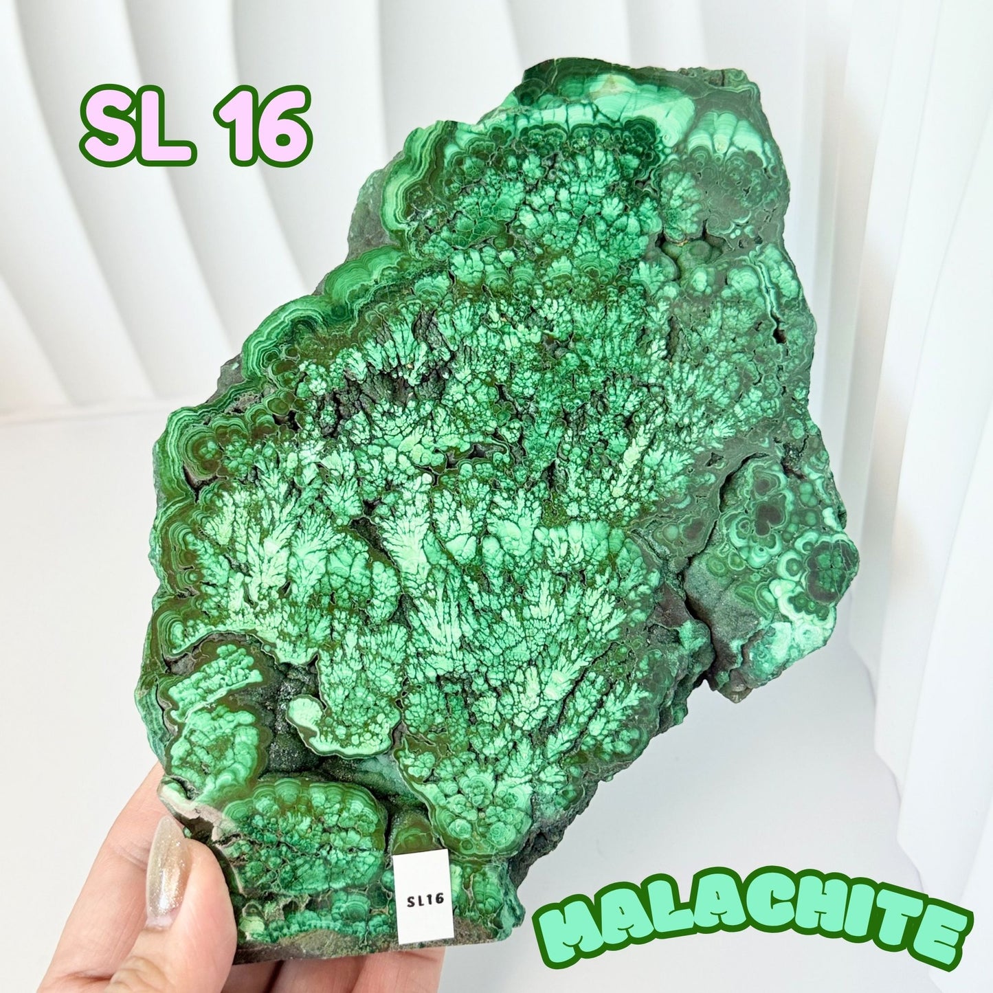 Natural Congo Malachite Slab | SL 16