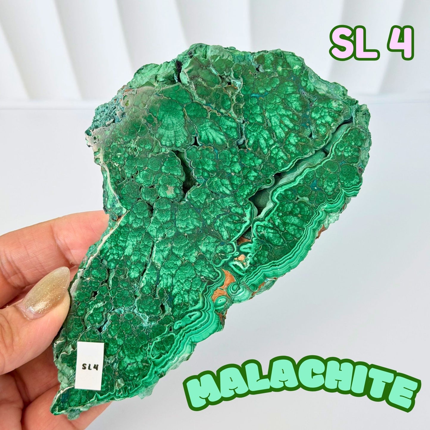 Natural Congo Malachite Slab | SL 4
