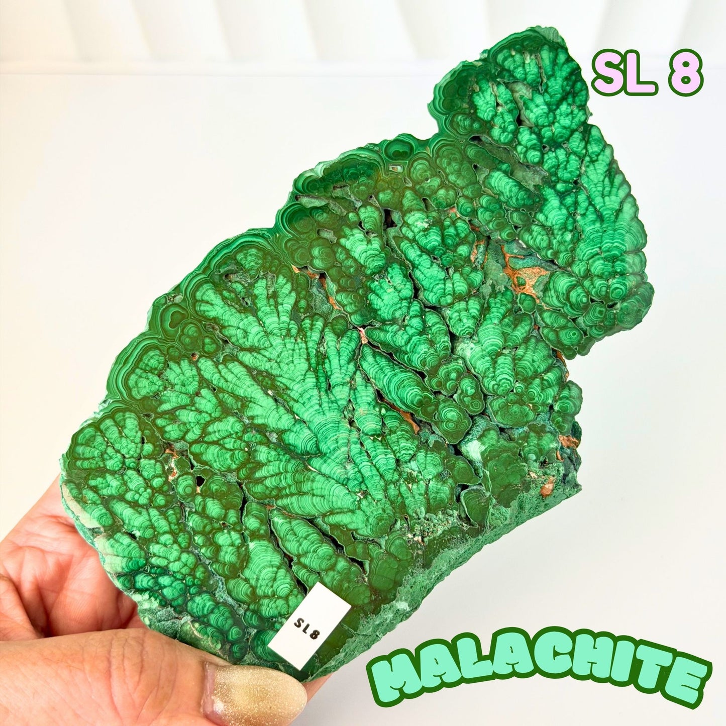 Natural Congo Malachite Slab | SL 8