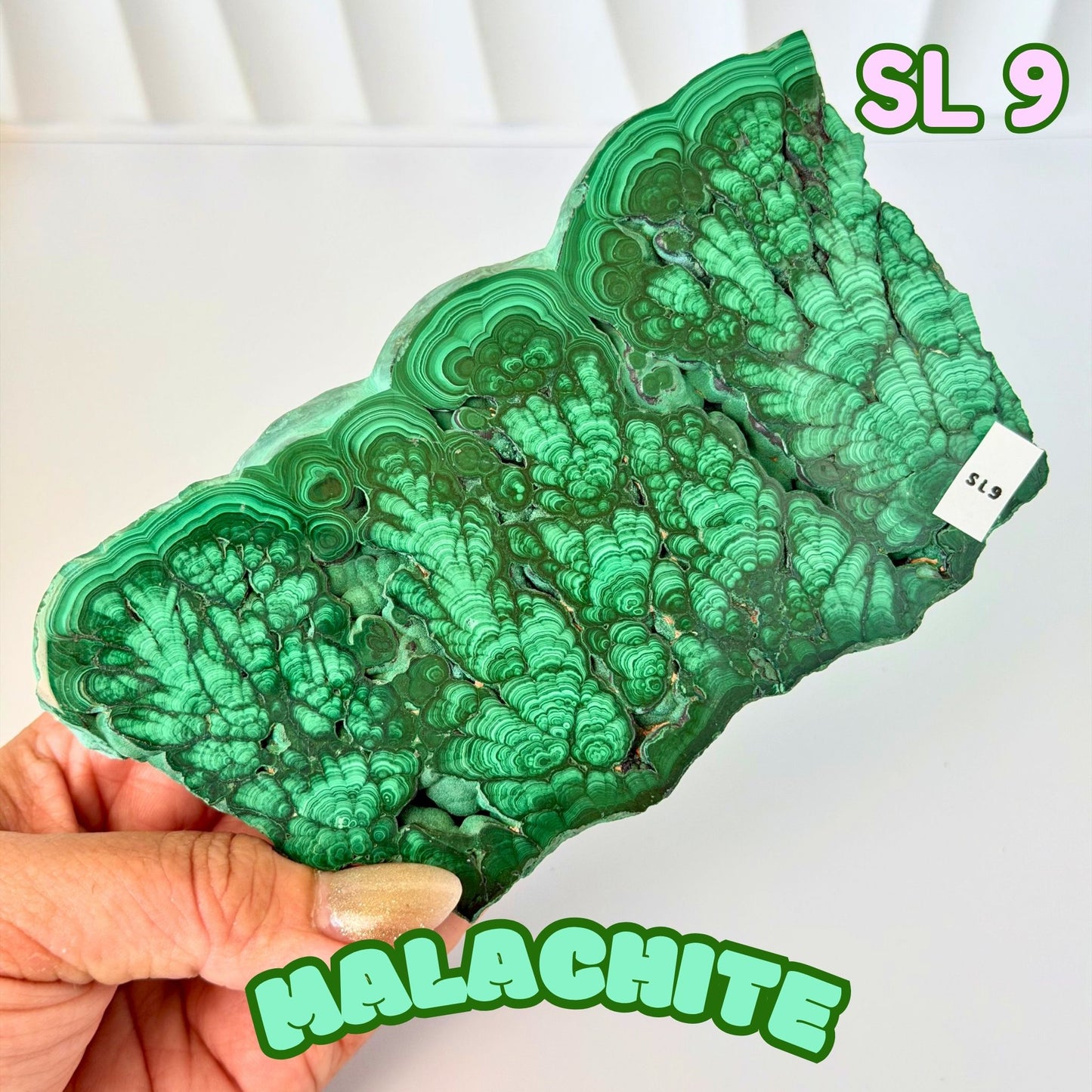 Natural Congo Malachite Slab | SL 9