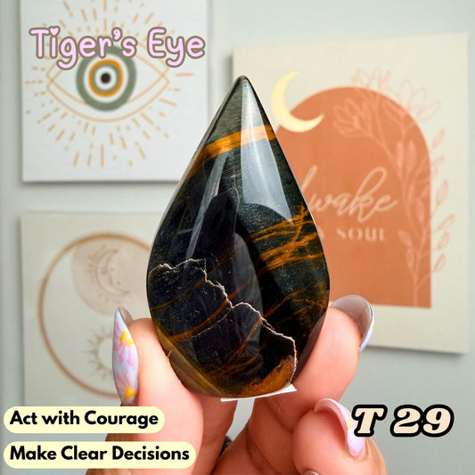Tiger's Eye Small Flame Freeform | T29