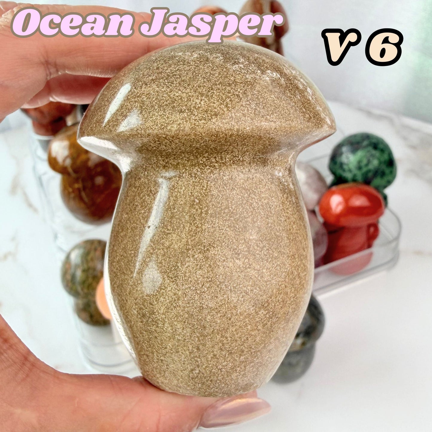 Ocean Jasper Mushroom Carving | V6