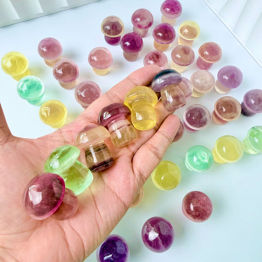 Candy Fluorite Mini Mushroom | Intuitively Chosen