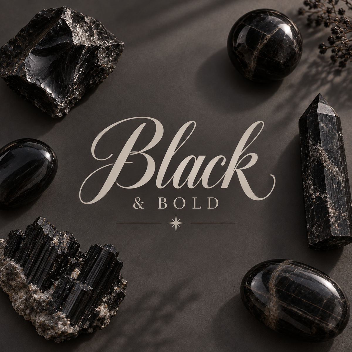 Black & Bold