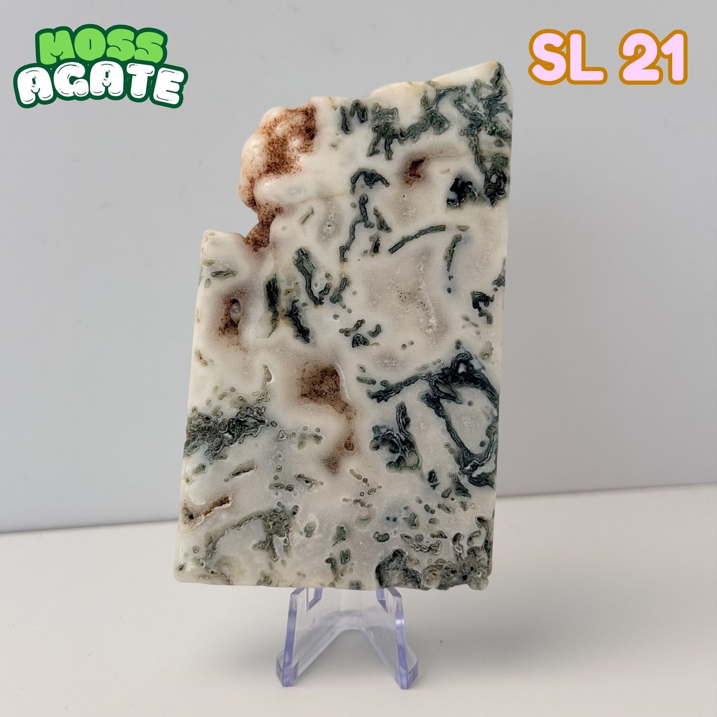 Moss Agate Slab | SL 21