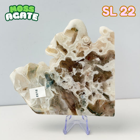 Moss Agate Slab | SL 22