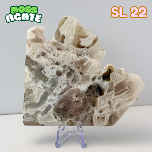 Moss Agate Slab | SL 22