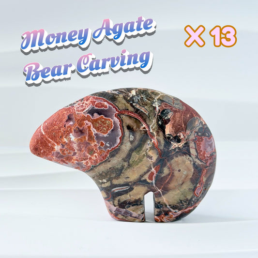 Money Agate Bear Carving | X13