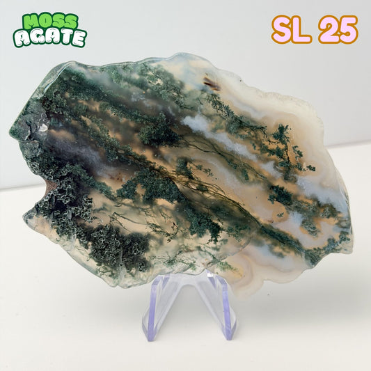 Moss Agate Slab | SL 25