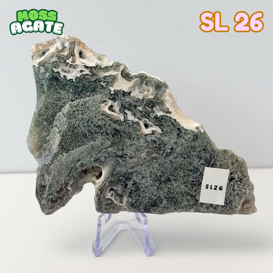 Moss Agate Slab | SL 26