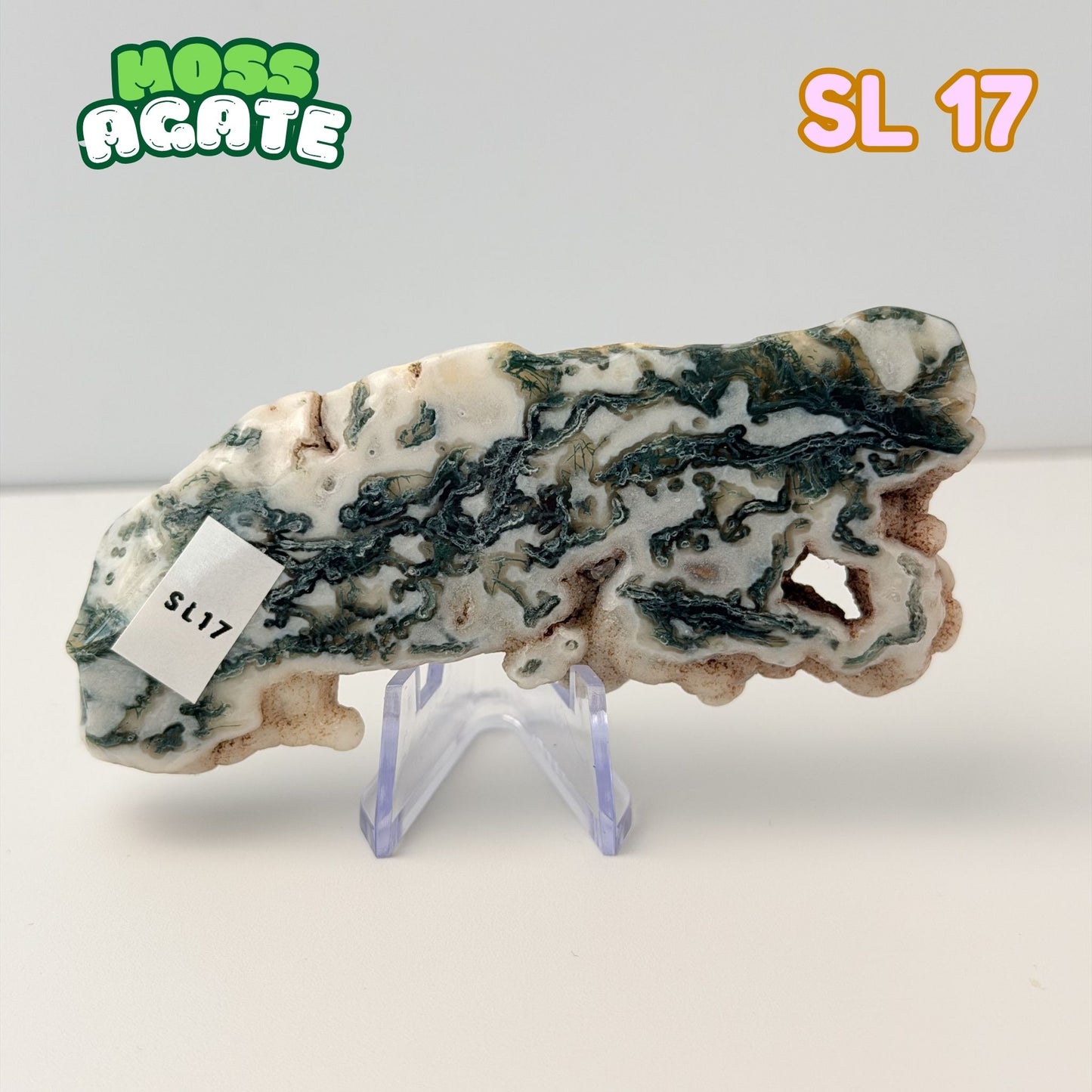 Moss Agate Slab | SL 17