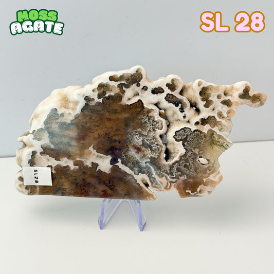 Moss Agate Slab | SL 28