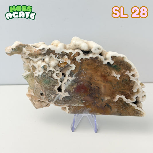 Moss Agate Slab | SL 28