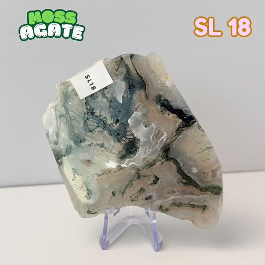 Moss Agate Slab | SL 18