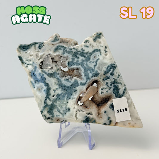 Moss Agate Slab | SL 19