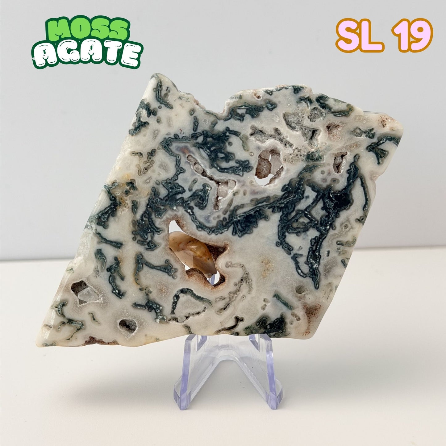 Moss Agate Slab | SL 19