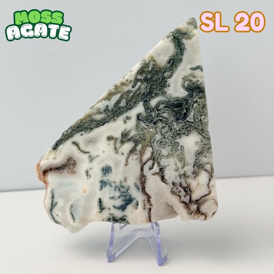 Moss Agate Slab | SL 20