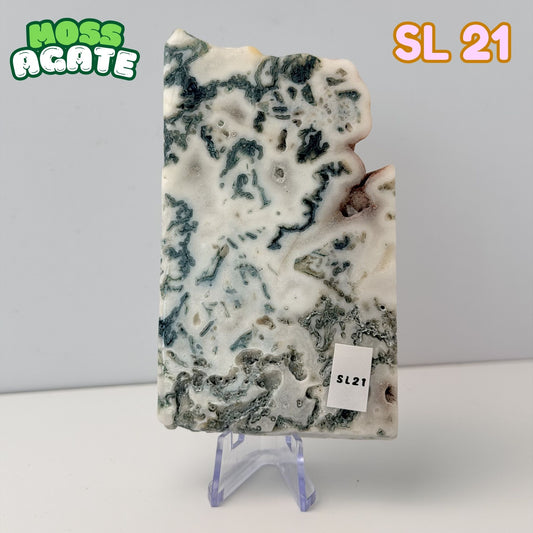 Moss Agate Slab | SL 21