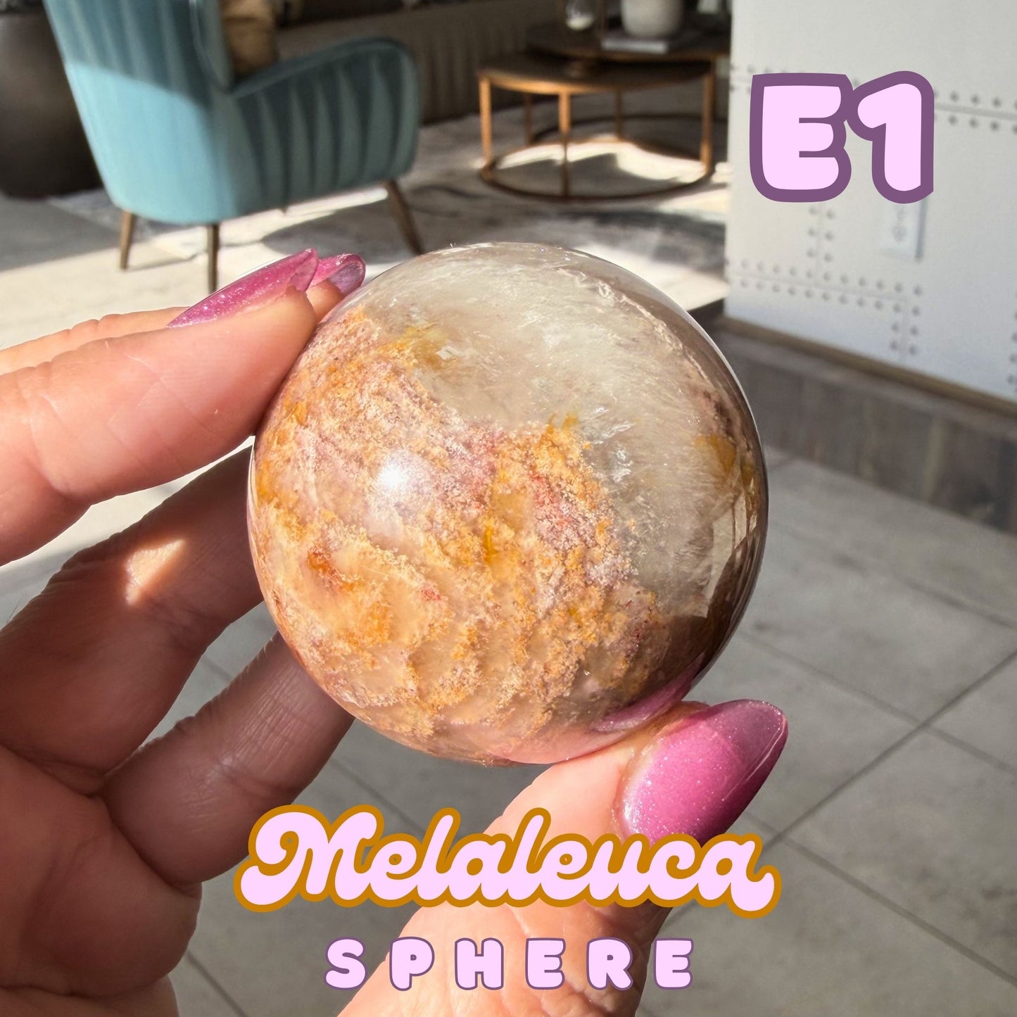 Melaleuca Sphere | E1