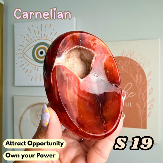 Carnelian Druzy Bowl | S19