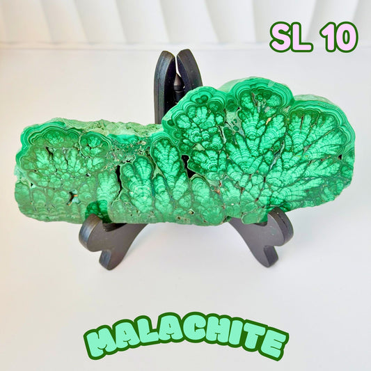 Natural Congo Malachite Slab | SL 10