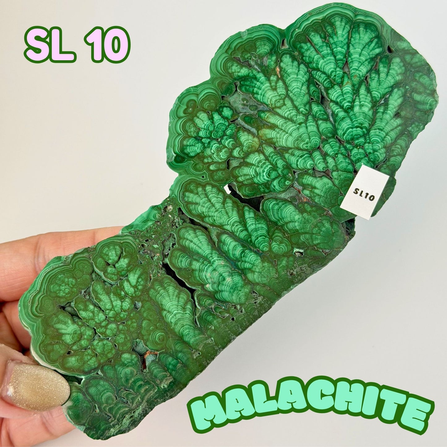 Natural Congo Malachite Slab | SL 10