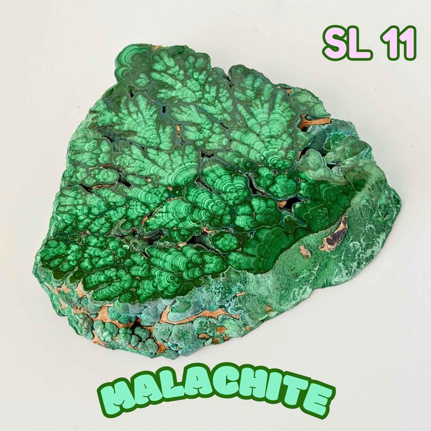 Natural Congo Malachite Slab | SL 11