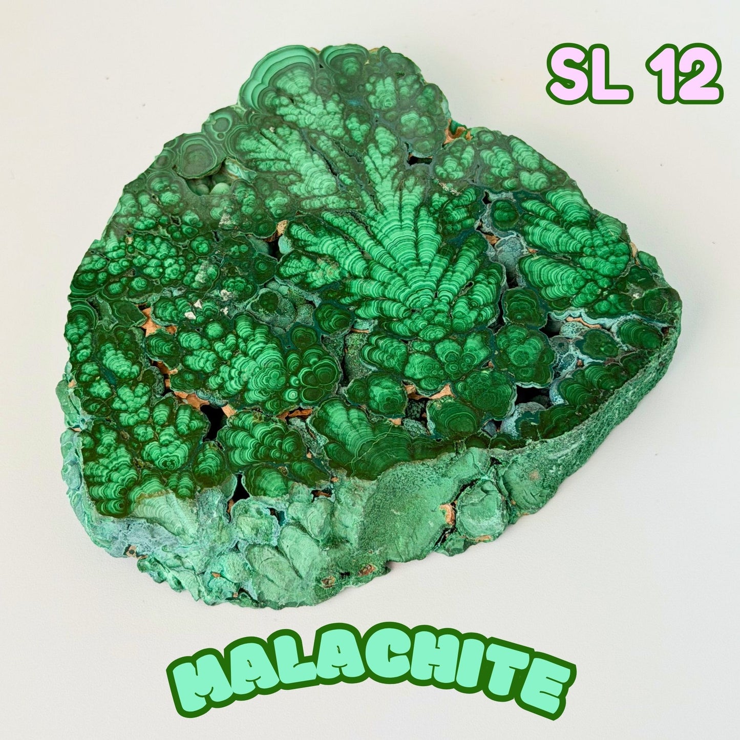 Natural Congo Malachite Slab | SL 12