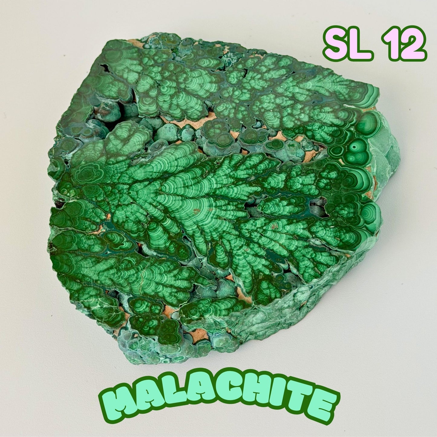 Natural Congo Malachite Slab | SL 12