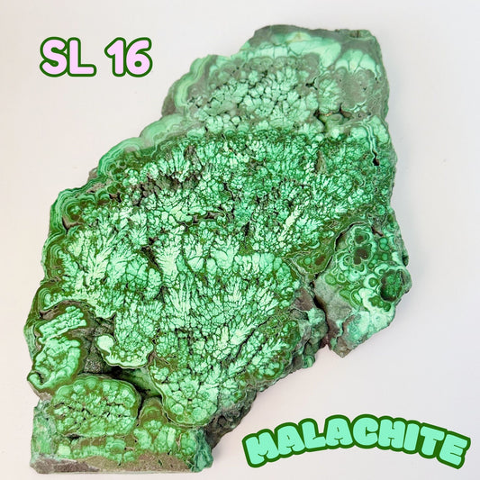 Natural Congo Malachite Slab | SL 16