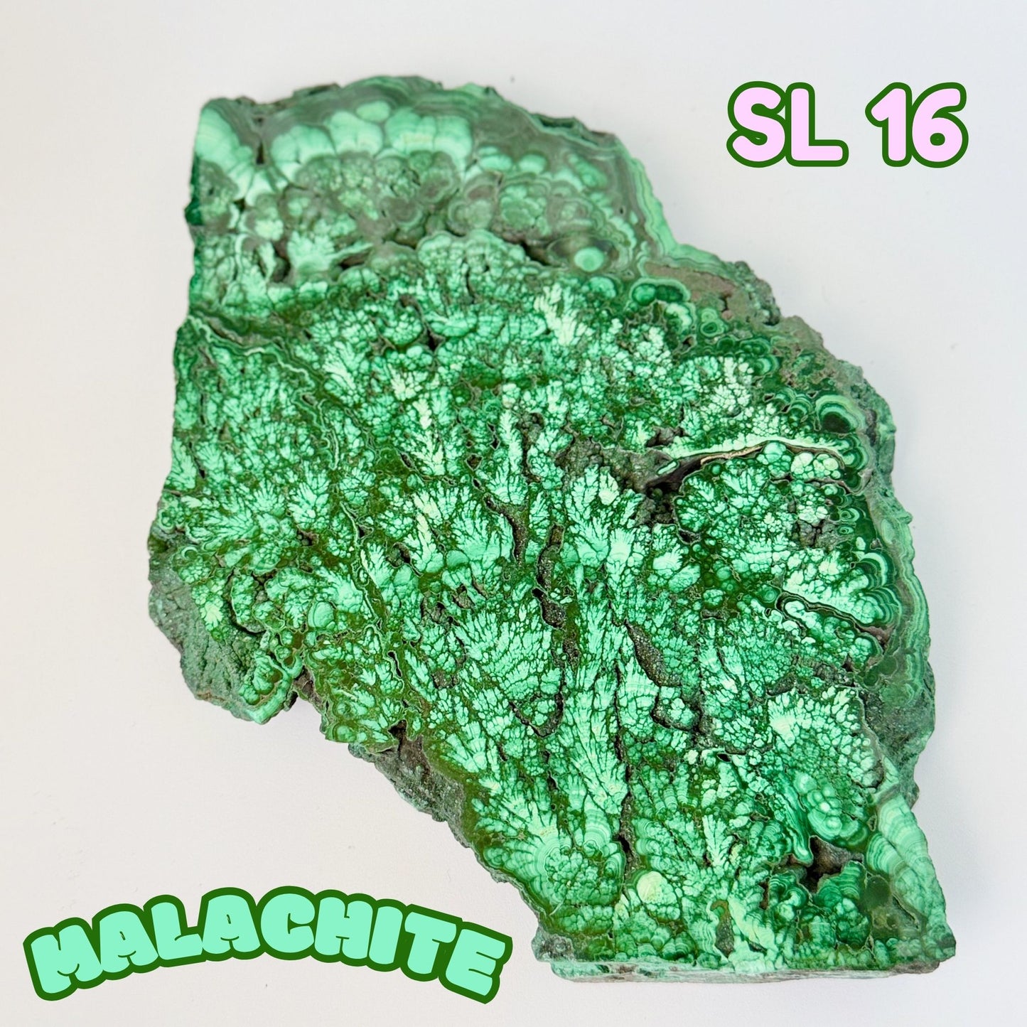 Natural Congo Malachite Slab | SL 16