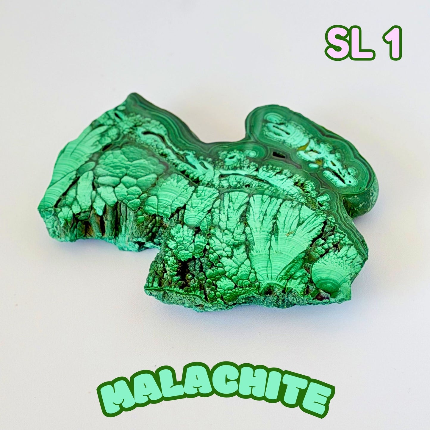 Natural Congo Malachite Slab | SL 1