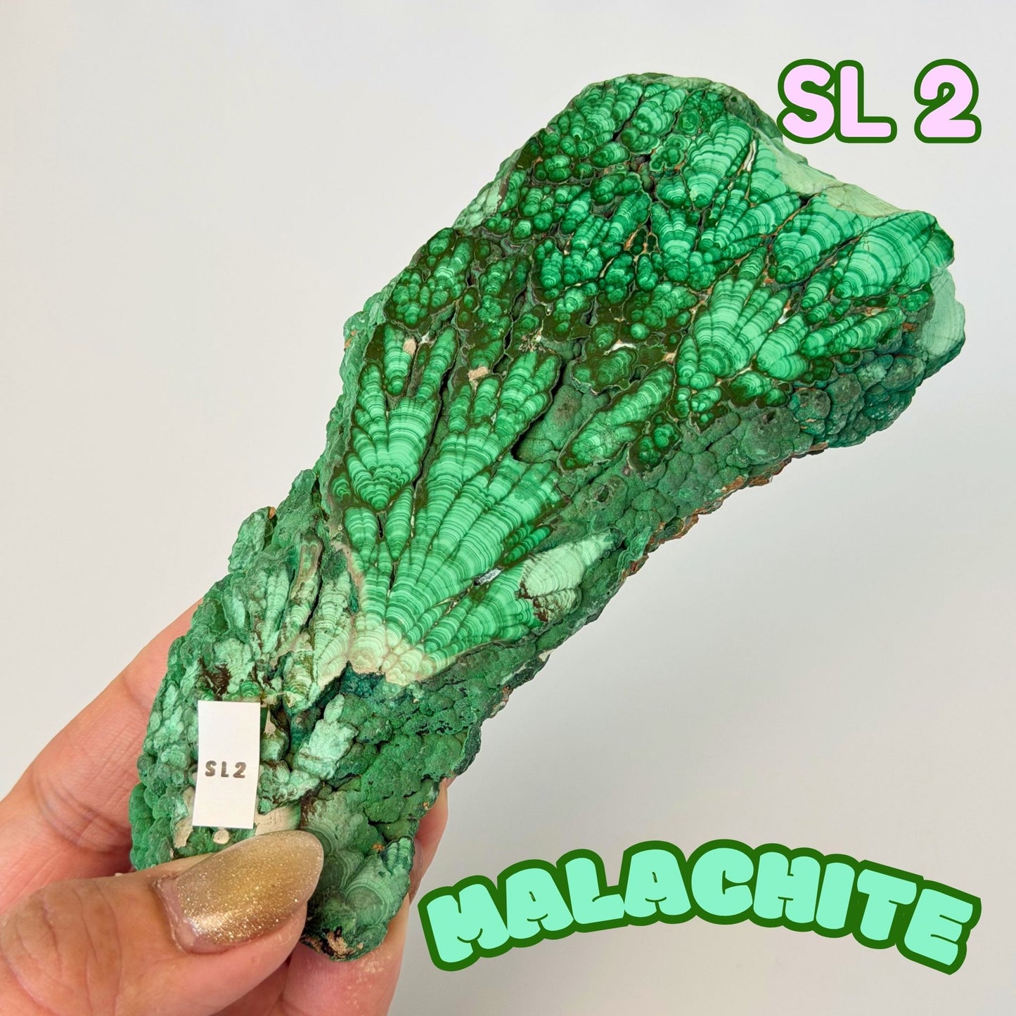 Natural Congo Malachite Slab | SL 2