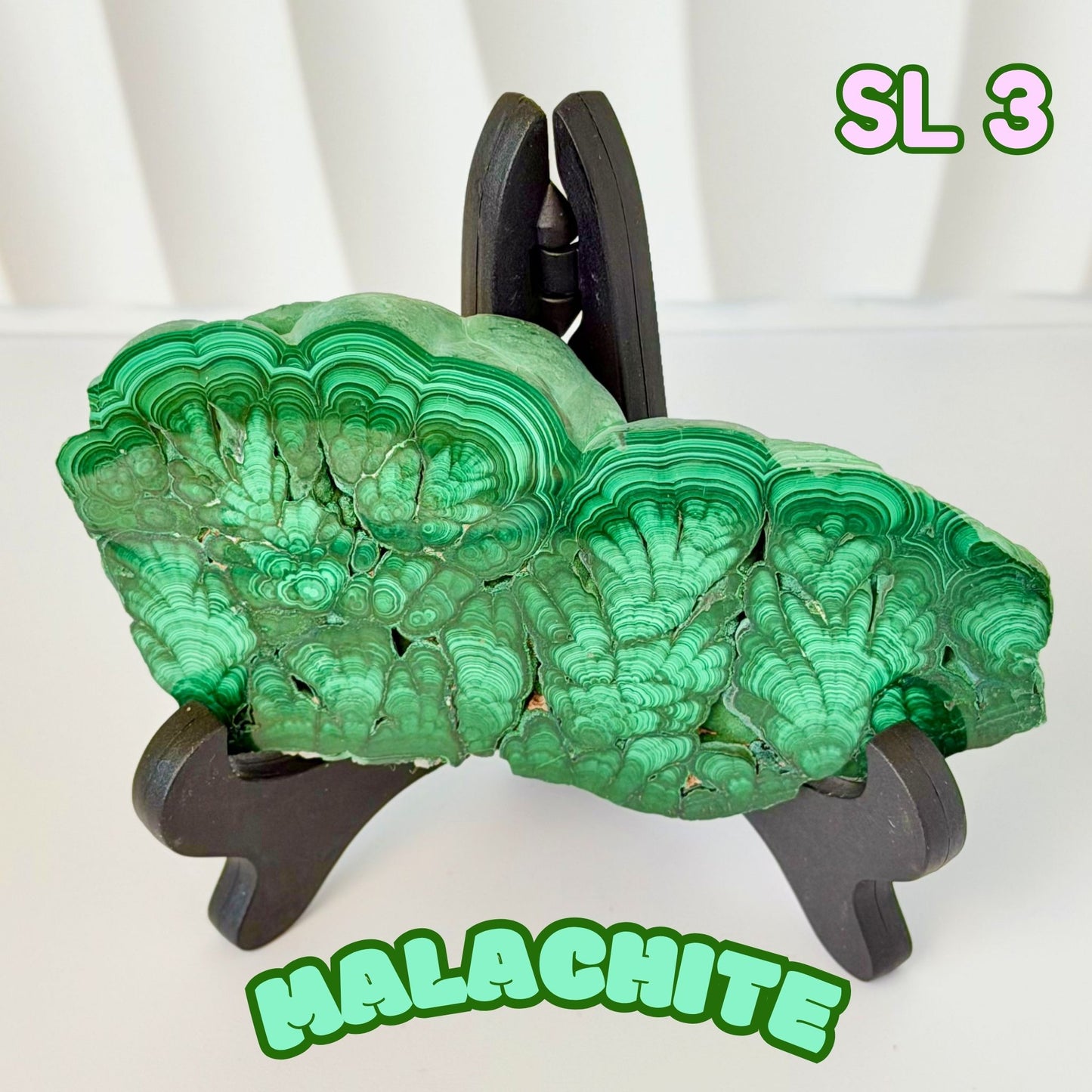 Natural Congo Malachite Slab | SL 3