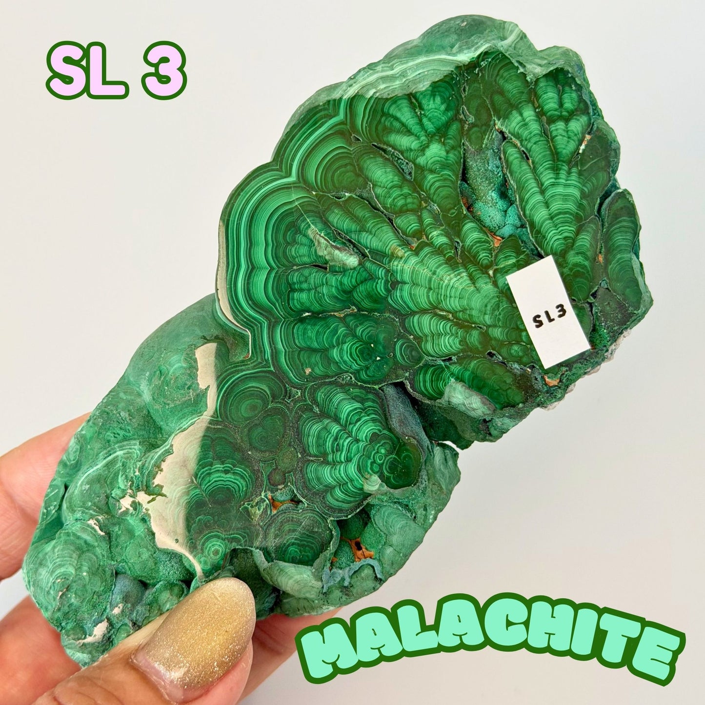 Natural Congo Malachite Slab | SL 3