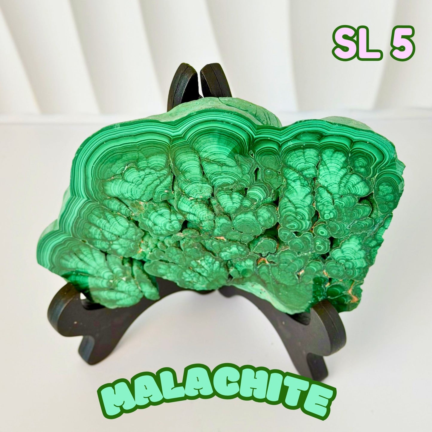 Natural Congo Malachite Slab | SL 5