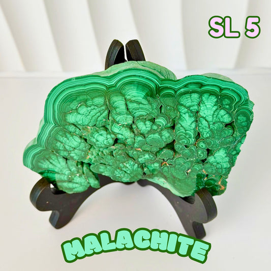 Natural Congo Malachite Slab | SL 5