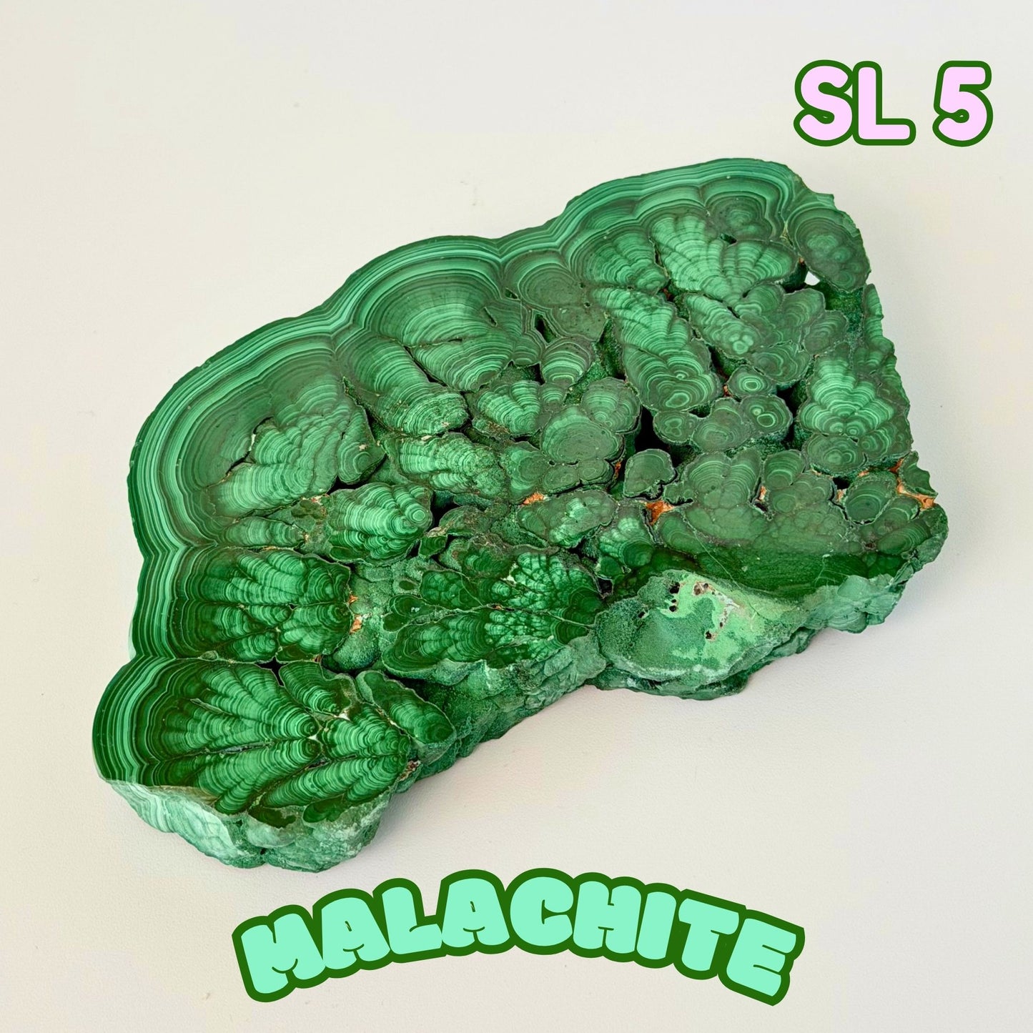 Natural Congo Malachite Slab | SL 5