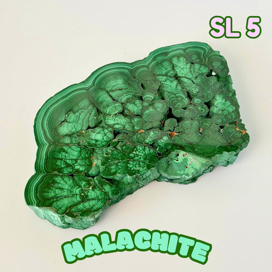 Natural Congo Malachite Slab | SL 5