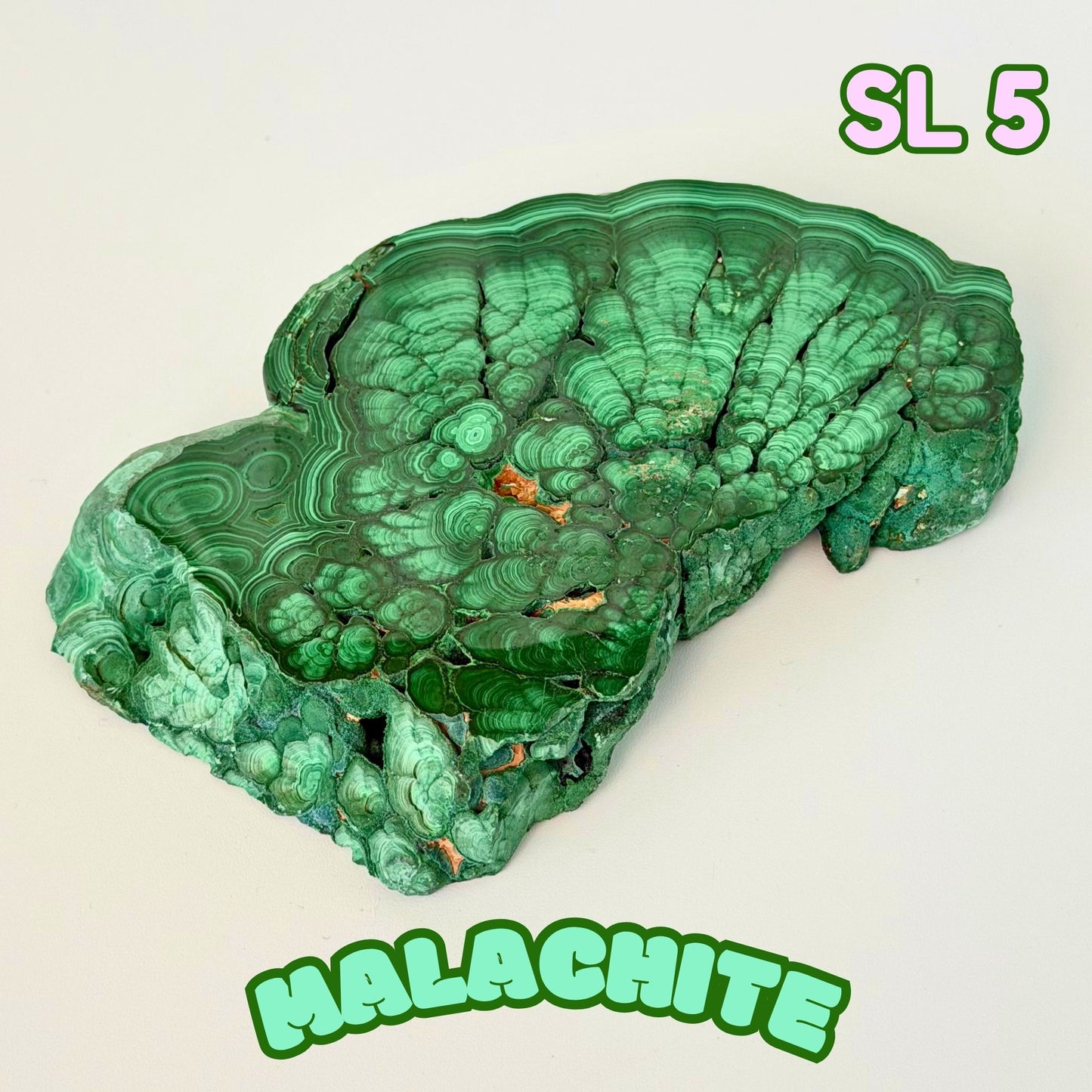 Natural Congo Malachite Slab | SL 5